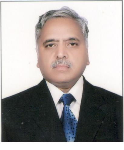 Hon’ble Mr. Justice Saral Srivastava 